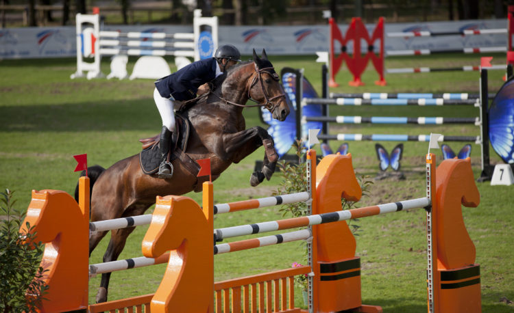 Test d'équitation