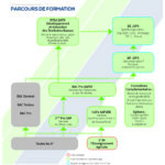 Formations services