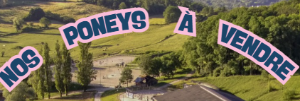 Chevaux à vendre